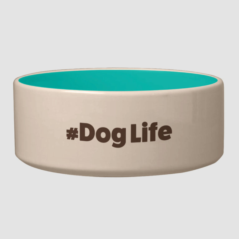 doghaus ceramic dog bowl