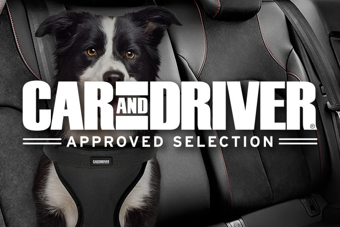 dog accessories pet car approved selection driver safety