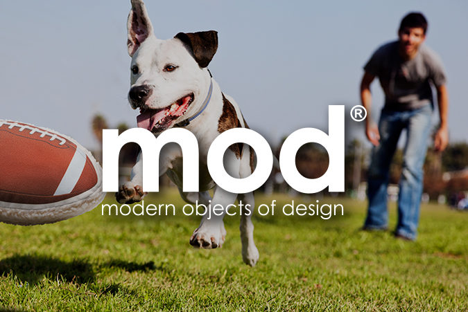 mod modern objects for dogs
